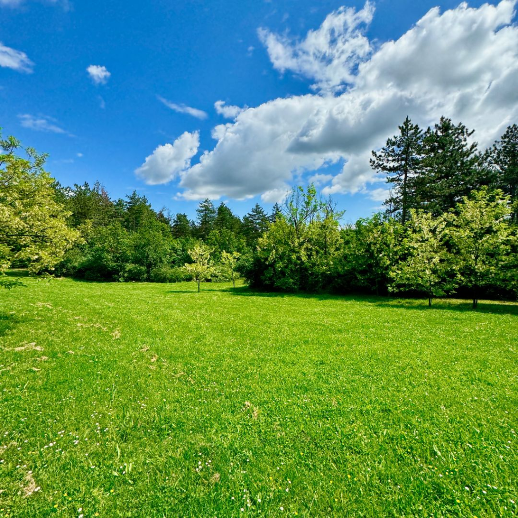 Bulgaria Travel Guide 8